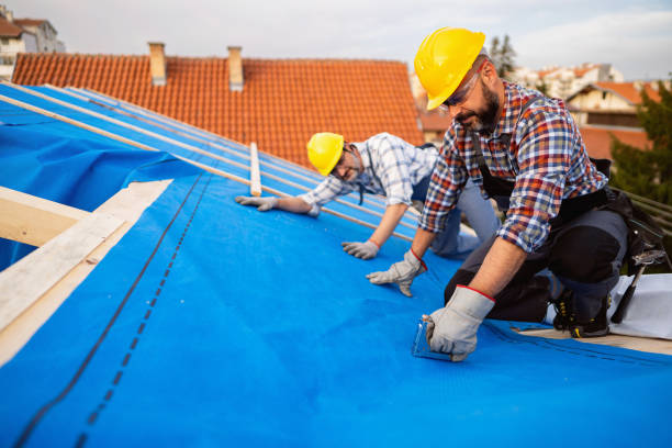 Best Chimney Flashing Repair  in Freemansburg, PA